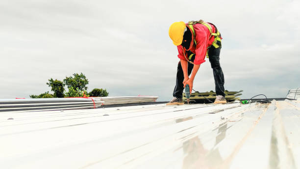Best Steel Roofing  in Lewistown, PA